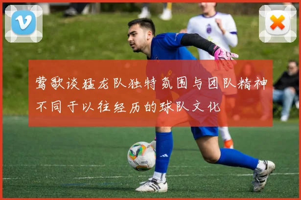 莺歌谈猛龙队独特氛围与团队精神不同于以往经历的球队文化