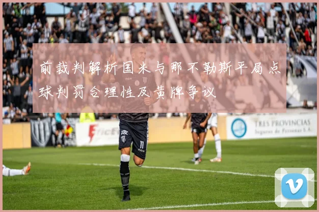 前裁判解析国米与那不勒斯平局点球判罚合理性及黄牌争议